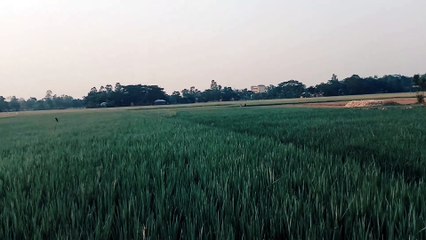 village view||Cenematic vlog||Madhabdi boyzz