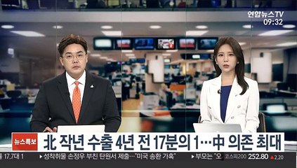 北 작년 수출 4년 전 17분의 1…中 의존 최대