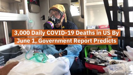 The Expected Coronavirus Death Toll By Day