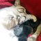 Momma Cat Cuddling Newborn Kittens