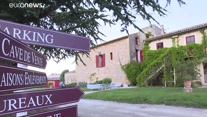 Ils inventent des nouvelles façons de vendre et de faire apprécier leur vin