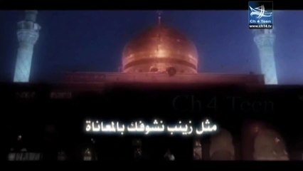 قصيدة يا وطنه - أداء الرادود شداد التميمي