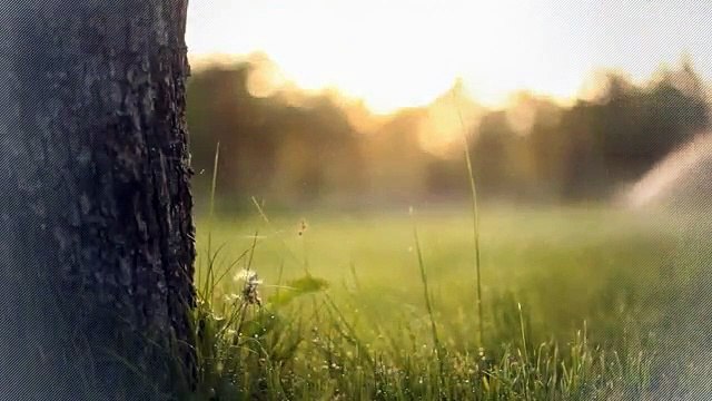 A vendre - Maison - Echallens (1040) - 5.5 pièces - 180m²