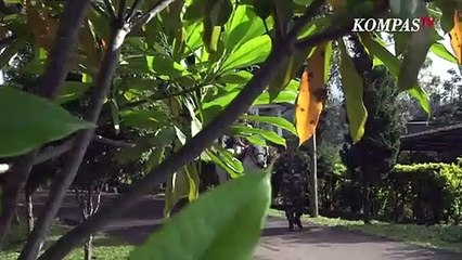 Sesulit Apa Menunggang Kuda Tempur TNI AD - CERITA MILITER