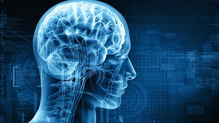 CORONA VIRUS ARTIFICIAL INTELLIGENCE: कोरोना का रिकॉर्ड रखने को अब आर्टिफिशियल इंटेलिजेंस की ली जा रही मदद