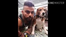 Virat Kohli with his Dog Bruno | Bruno death | Latest video Virat Kohli