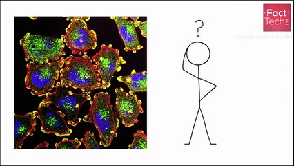 भारत की 3 सबसे उन्सुल्झी रहस्यमयी और अजीब घटनाएं  | Top 3 Unsolved Mystries of India