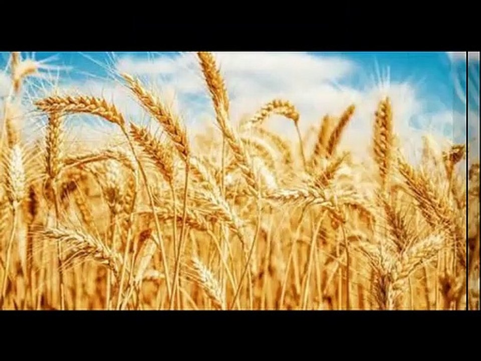 Saraiki sunin buht piyari video hy