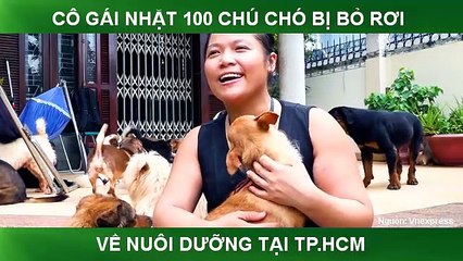 CÔ GÁI NHẶT 100 CHÚ CHÓ BỊ BỎ RƠI VỀ NUÔI DƯỠNG TẠI TP.HCM