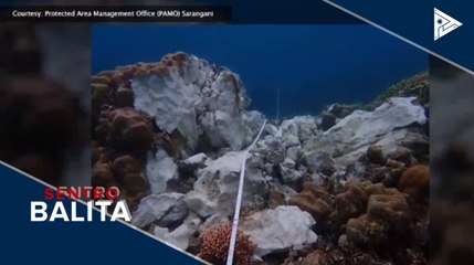 Malaking bahagi ng bahura sa Saranggani Bay, nasira matapos araruhin ng isang cargo vessel