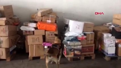 Van'da çöreğin arasına gizlenmiş metamfetamin ele geçirildi