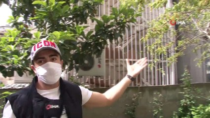 Pendik’te dehşete düşüren görüntü: Kargayı boynundan iple astılar