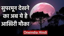 Super Flower Moon देखने का ये है आखिरी मौका, जानें कैसा, कब और कितने बजे दिखेगा | वनइंडिया हिंदी