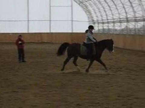 Moi et Pégase - Serpentine de reprise de dressage niveau 1
