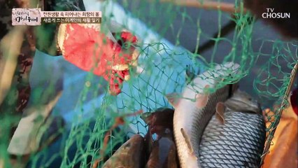 이계인을 위한 물고기 파티 좌 배스 우 도루묵