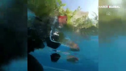 Şampiyon yüzücüden bahçede antrenman