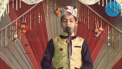 Best of Shoaib Raza Barelvi || zamino zama tumhare liye || kalame ala hazrat