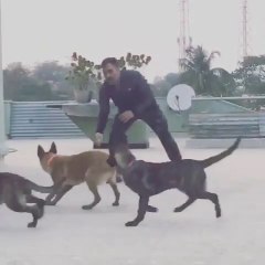MS Dhoni playing with dogs In INTERNATIONAL lockdown....