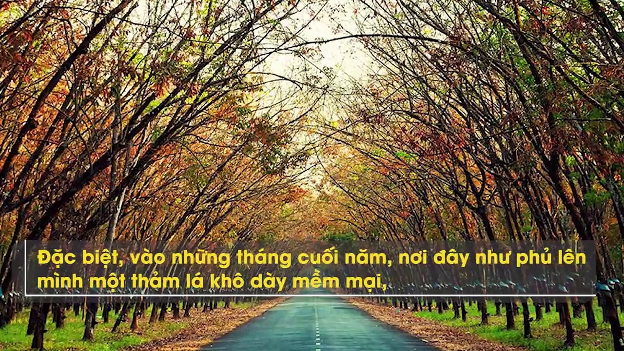 Khám phá 7 vẻ đẹp tuy hoang sơ nhưng lại khiến người ta phải nao lòng khi đặt chân đến Bình Phước