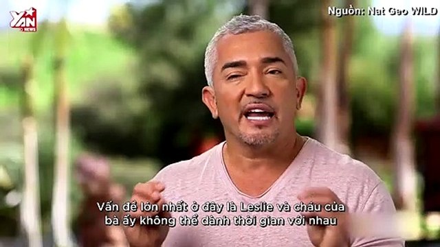 Giải Mã Nỗi Sợ: Vượt qua nỗi sợ chó