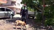 Şahin polis ekipleri, sokaktaki sahipsiz hayvanlar için seferber oldu