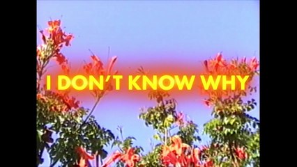 NOTD - I Don't Know Why