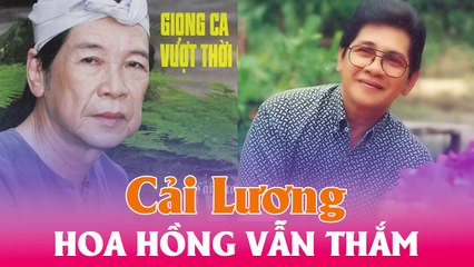 Cải Lương Audio mp3 : Hoa hồng vẫn thắm - Minh Vương,Lệ Thủy,Phương Quang,Điền Tử Quang