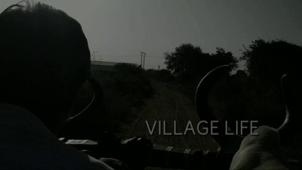 Village life in India | Village of India | Culture of India