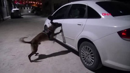 ELAZIĞ Otomobildeki 5 kilo esrarı 'Şimşek' buldu