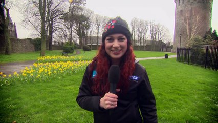 Irish National Rally Championship 2017 Rd 1 Birr Rally
