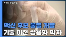 코로나19 백신 후보물질 개발...기술이전 상용화 박차 / YTN