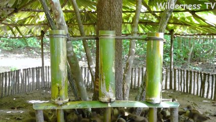 Build the most amazing Duck House with AUTOMATIC Duck Feeder for Baby Wild Ducks