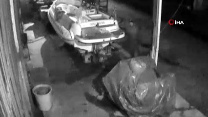 Marmaris'te Pitbull dehşeti...Köpeğini ile birlikte diğer köpeğe böyle işkence etti