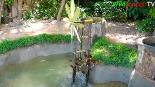 Build The Most Amazing Aquarium Fish Pond and Ancient Water Wheel Oxygen for Catfish