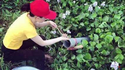 BERBURU IKAN MENGUNAKAN KEPITING ,PANEN BESAR