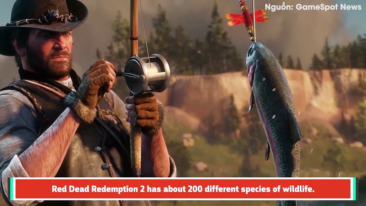 Chi tiết về hoạt động săn bắn và câu cá trong Red Dead Redemption 2