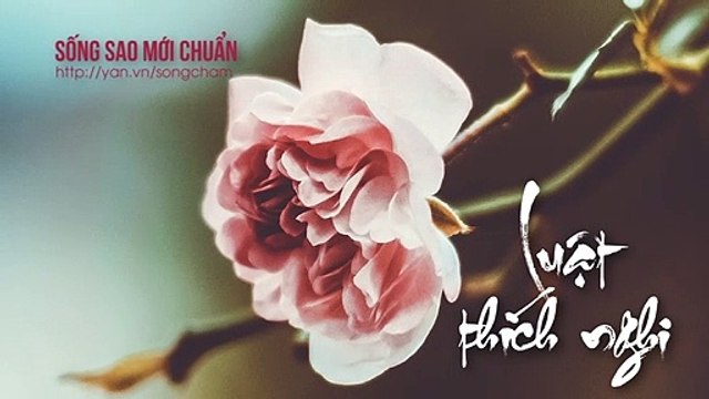 HIỂU NHỮNG QUY LUẬT NÀY CỦA ĐẤT TRỜI, CUỘC ĐỜI SẼ KHÔNG LÀ BỂ KHỔ NỮA