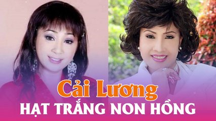 Trích Đoạn Cải Lương Xưa Trước 1975 : Hạt Trăng Non Hồng - Minh Vương,Lệ Thủy Giàu cảm động