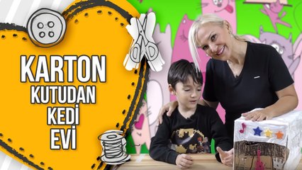 Karton Kutudan Kedi Evi Yapımı
