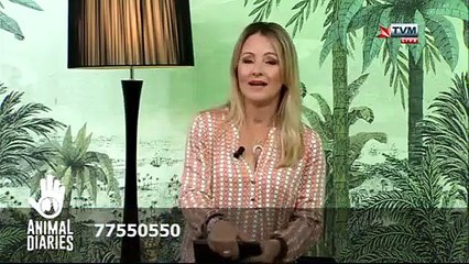 Animal Diaries - Season 8 Episode 28