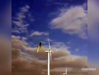 LUCKY PARACHUTE BLOWN İN THE WİND