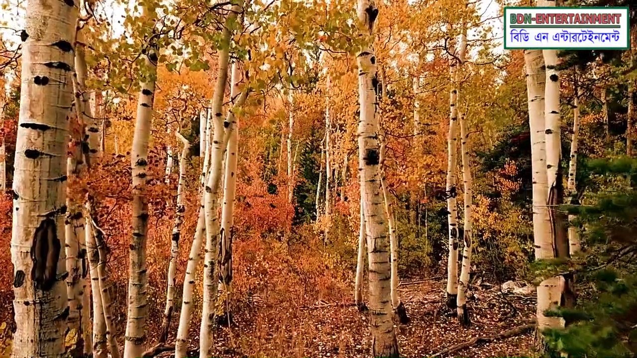 শয়তানের ধোঁকা থেকে আত্মরক্ষার পাঁচ উপায়