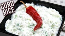 Curd Rice | How To Make Curd Rice | Dahi Chawal Tadka Recipe | Quick & Easy Rice Recipe | Ruchi