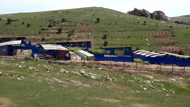 Mardin Büyükşehir Belediyesi Hayvan Hastanesi yenilendi