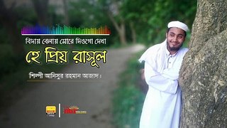 বিদায় বেলা মোরে দিও গো দেখা হে প্রিয় রাসূল | Bangla Islamic song 2020