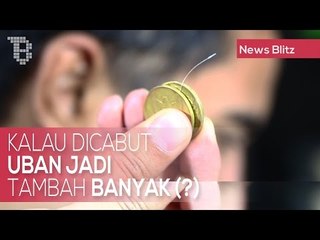 Скачать видео: Kalau Dicabut Uban Jadi Tambah Banyak Mitos Atau Fakta?