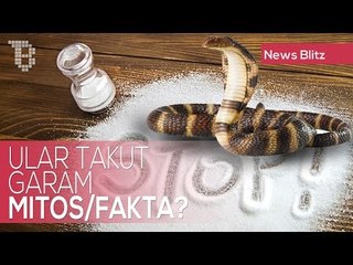 [Mitos atau Fakta] Garam bisa mengusir ular ?
