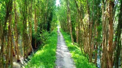 Đẹp “đốn tim” tín đồ mê xê dịch với 5 điểm check-in hot nhất mùa nước nổi