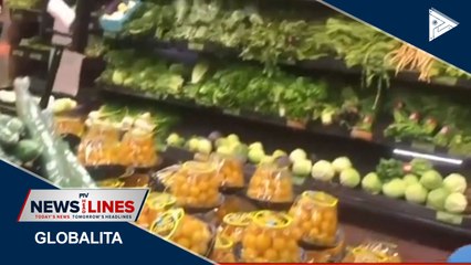 GLOBAL NEWS: New Yorkers worried about food supply start roof gardens