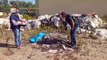 Puglia - Scoperte sei discariche abusive nel Barese (06.05.20)